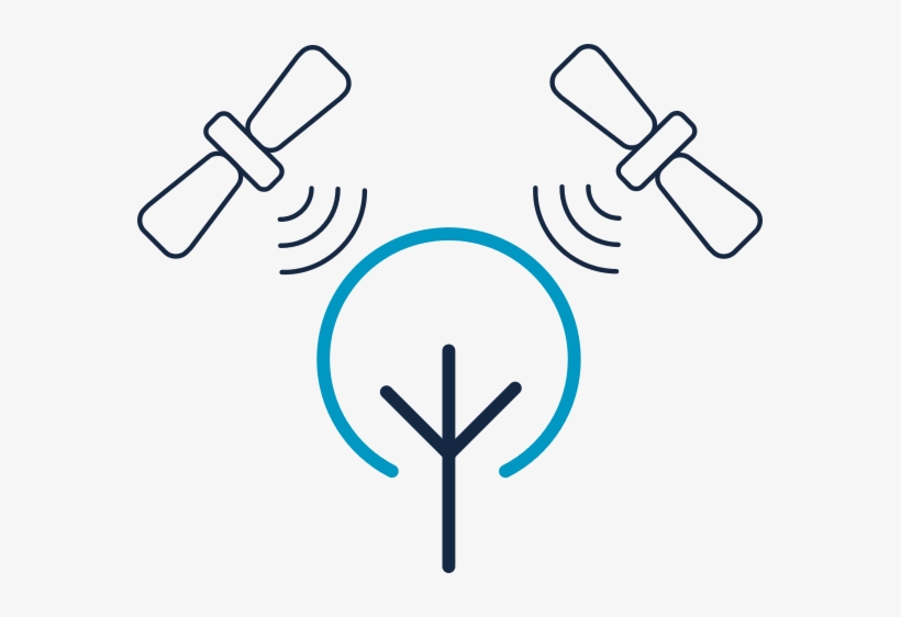 Forest Monitoring Services Include Disturbance Monitoring, transparent png download