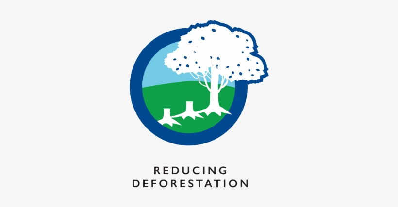 Over Recent Decades, Vietnam Has Been Extremely Successful - Illustration, transparent png download