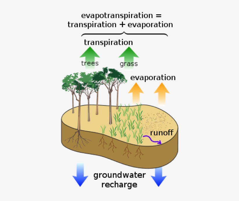 Small Amounts Of Deforestation Today May Lead To The - Measurements To Recharge Groundwater, transparent png download