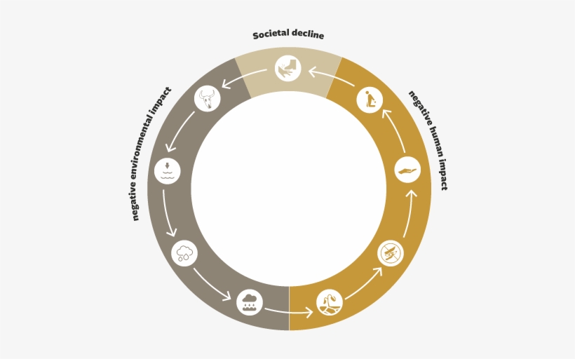 Deforestation Vs - Reforestation - Circle, transparent png download