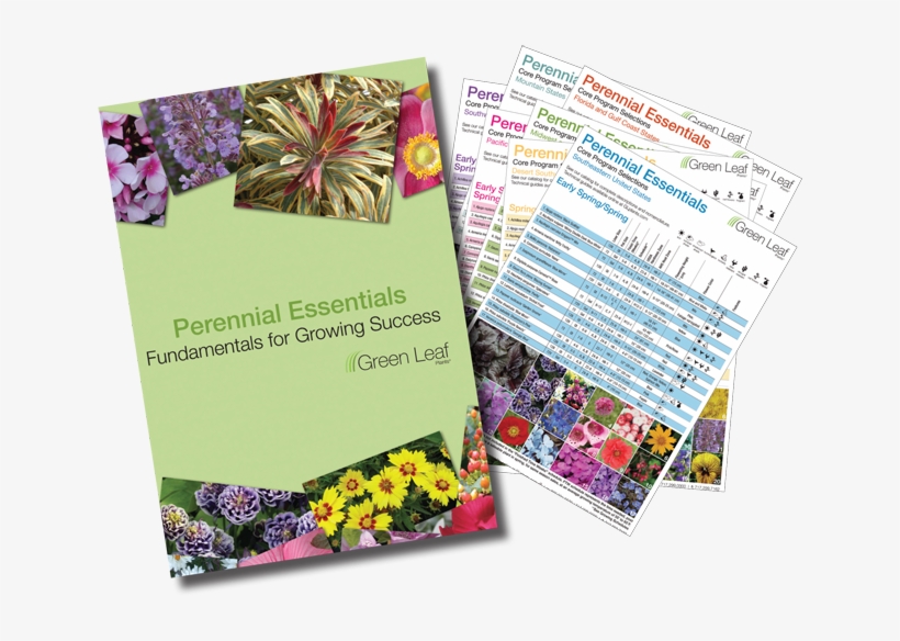 Perennial Essentials Program - United States Of America, transparent png download