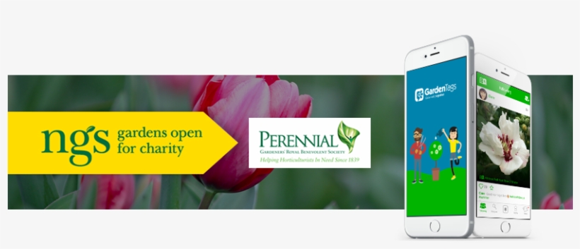 Ngs Perennial Gardentags - Yellow Book 2008 By Stephen Anderton 9781905942091, transparent png download