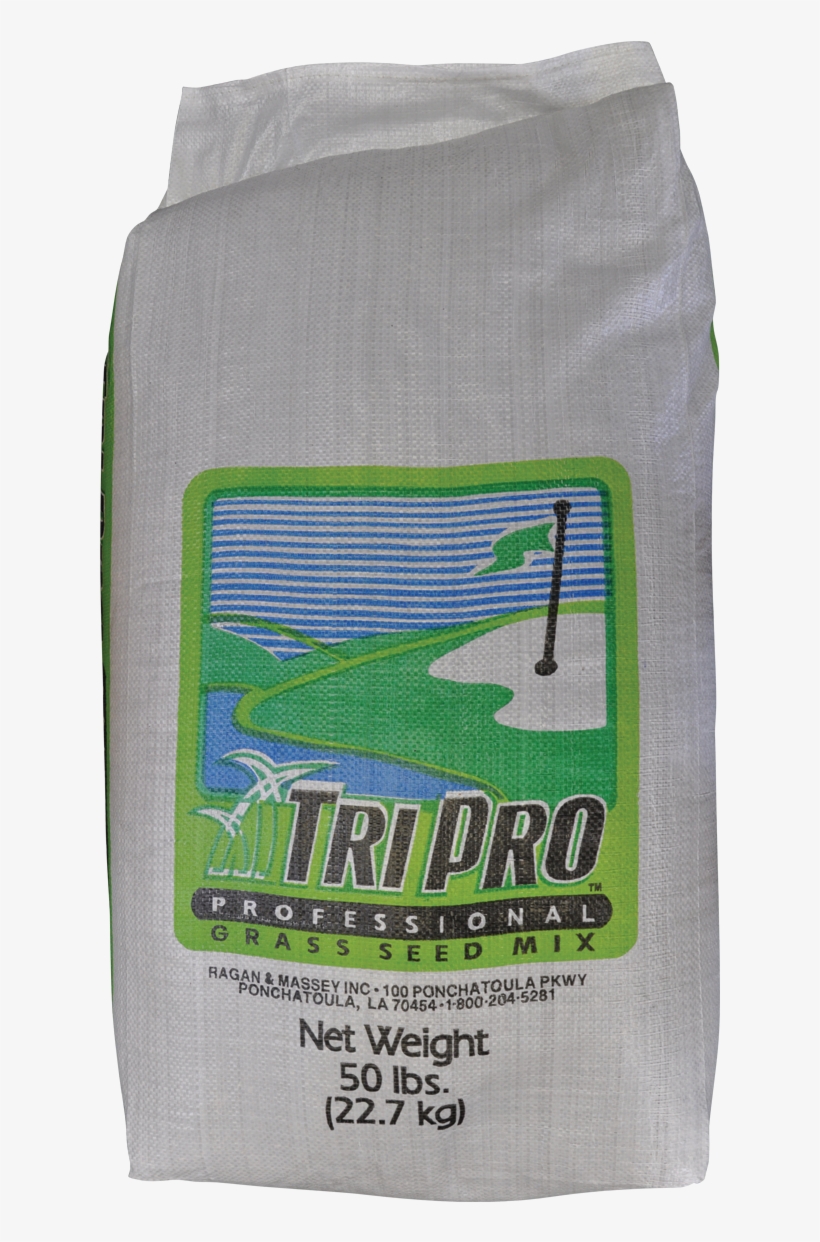 Tp-perennial - Shark, transparent png download