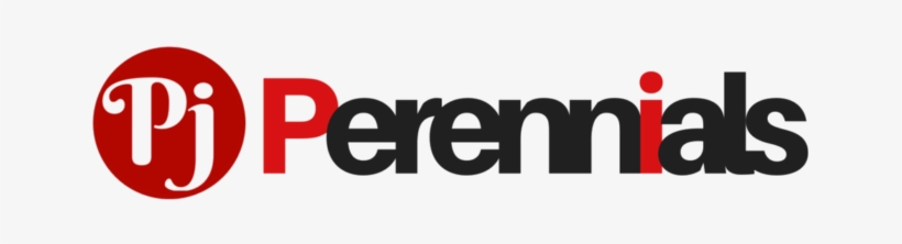 About Perennial Publications Llp - Research, transparent png download