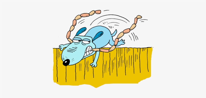 Dog - Dog Jumping Fence Clip Art, transparent png download