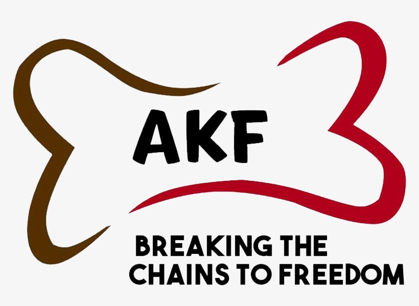 Animal Kingdom Foundation Inc - Animal Kingdom Foundation, transparent png download