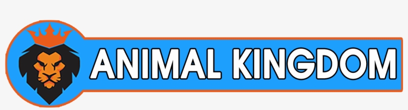 Animals Kingdom - Food, transparent png download