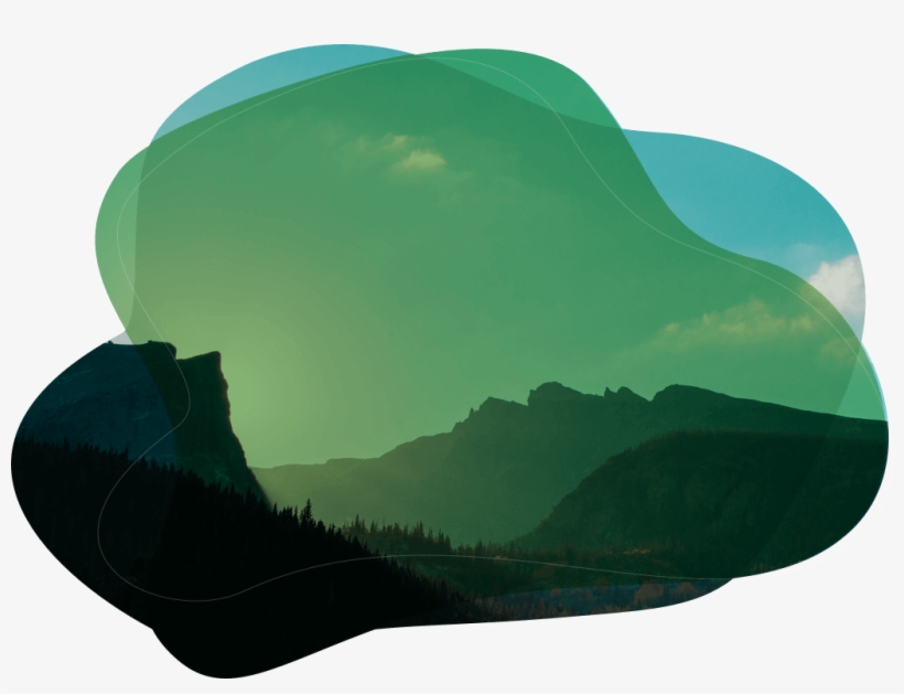 Small Balance - Tree, transparent png download