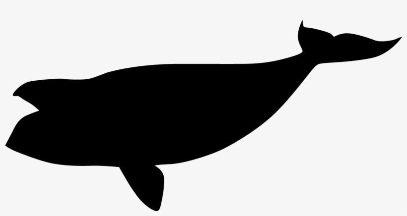 North Pacific Right Whale Black Silhouette - Whale, transparent png download