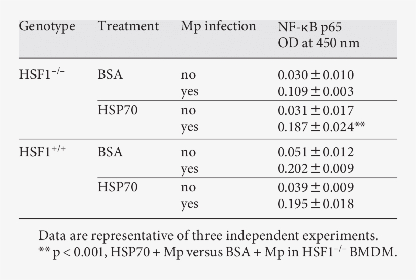 Nf B P65 Activation Was Measured By Transam€ Eli Sa - Number, transparent png download