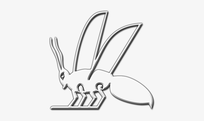 06 Feb 2009 - Ant, transparent png download