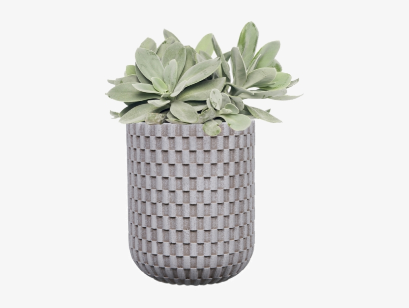 New Design - Flowerpot, transparent png download