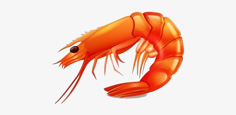 Rocky Point Sea Food Market - Imagem De Camarão, transparent png download
