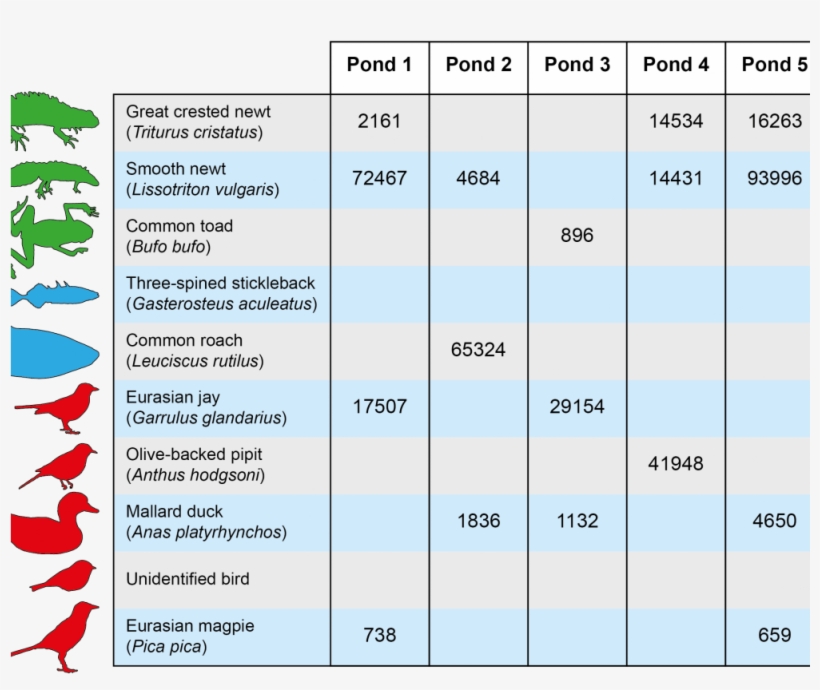 Mitigation Pond Otu Table 01 No Bg - Number, transparent png download