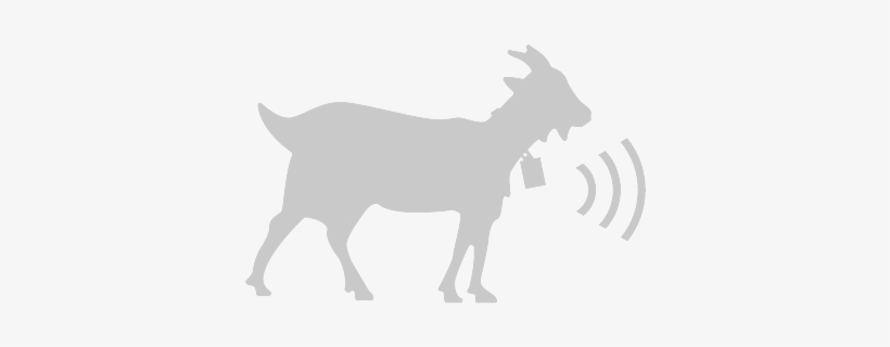 Follow The Animals' Movements - Goats For Sale Sign, transparent png download