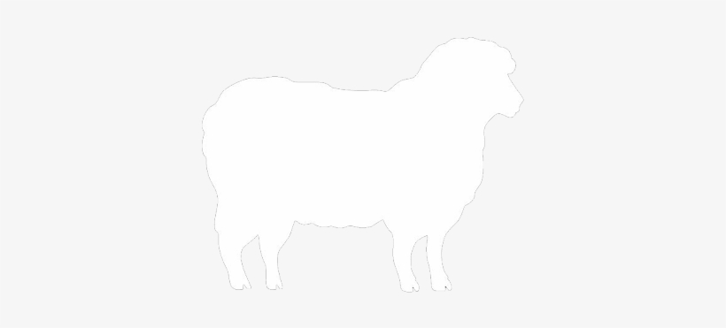 Graphics And More Sheep Lamb Wall Vinyl Art, transparent png download