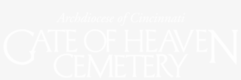 Main Content - Cincinnati, transparent png download