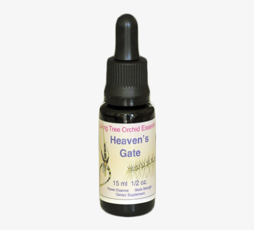 Essential Oil, transparent png download