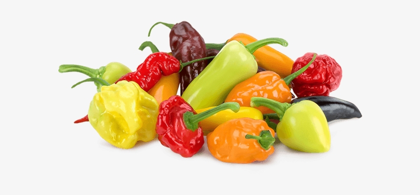 Hotshots Loose Product Shot - Mucci Farms Ltd., transparent png download