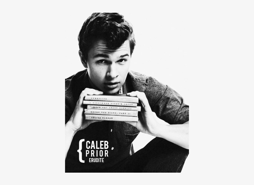 Ansel Elgort As Caleb Prior - Ansel Elgort Jpg, transparent png download