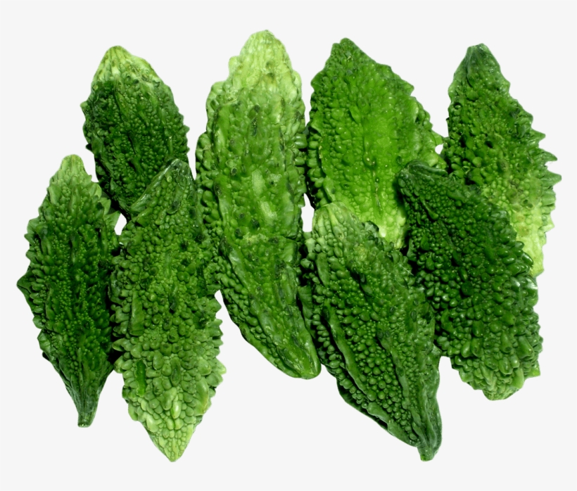 Free Png Bitter Gourd Png Images Transparent - Vegetable Bitter Gourd Png, transparent png download