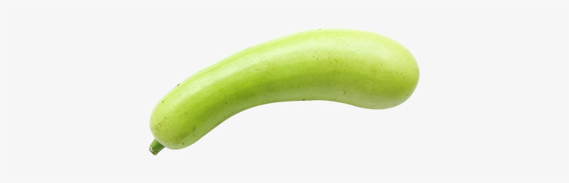 Bottle Gourd - Bottle Gourd Vegetable, transparent png download
