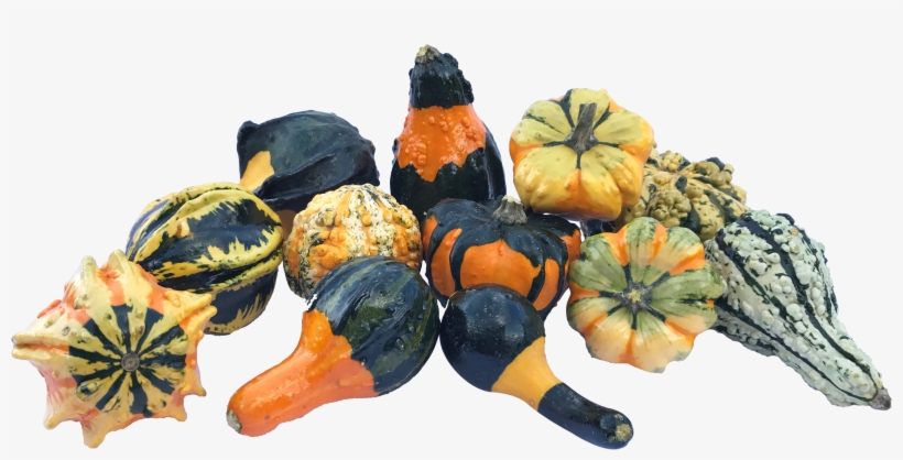 Gourds - Pattypan Squash, transparent png download