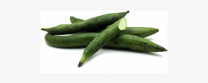 Sponge Gourd - Gilki - Sponge Gourd Png, transparent png download