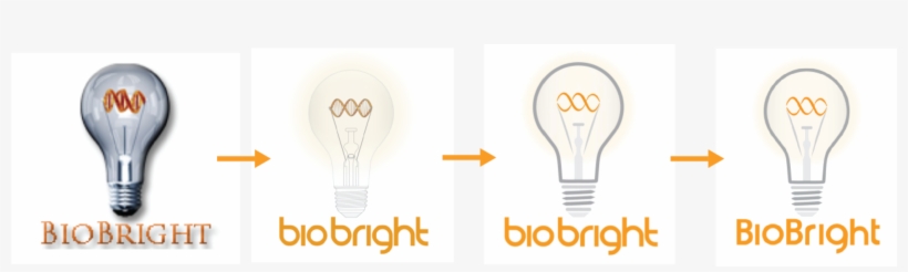 I Was Quite Pleased To See That Simplification Was - Incandescent Light Bulb, transparent png download