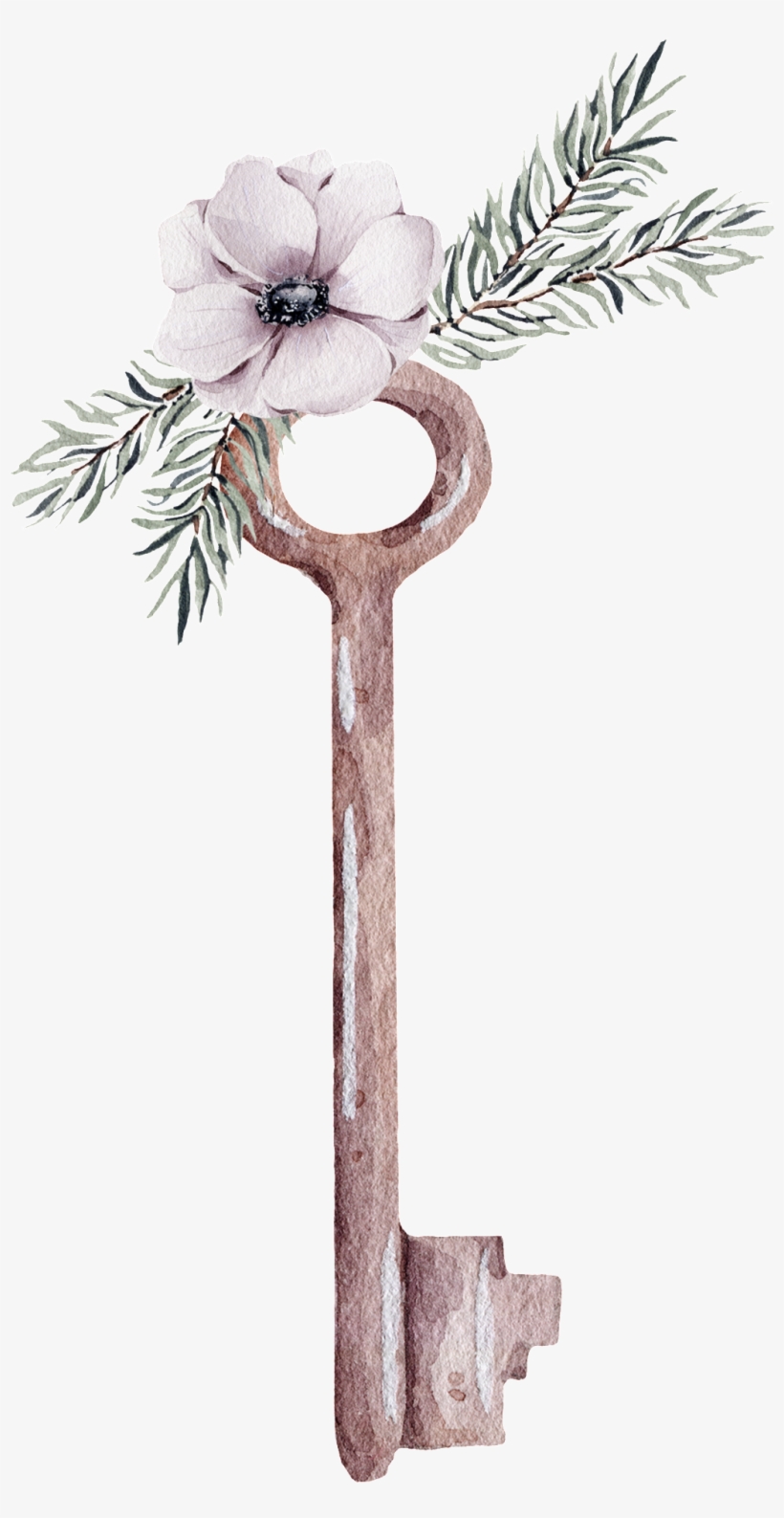 Flor Blanca Llave Transparente Ornamento Png - Portable Network Graphics, transparent png download