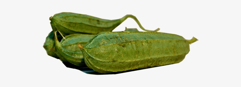 Related - Gourd, transparent png download