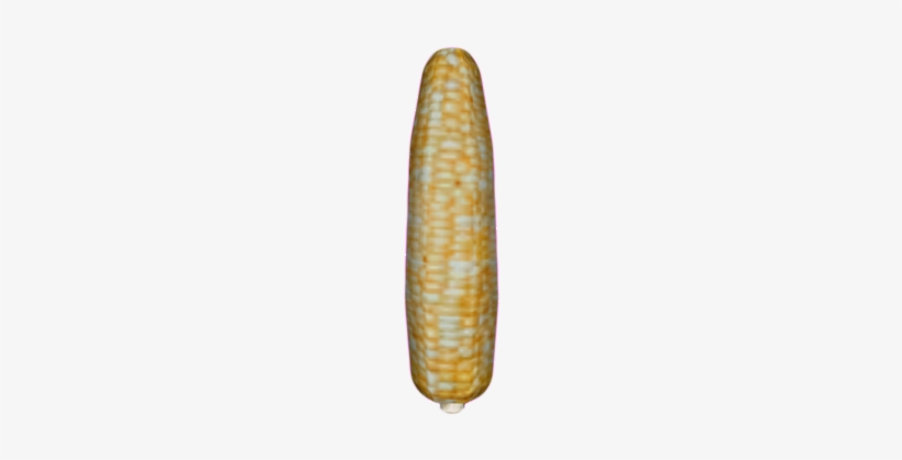 Corn - Corn Kernels, transparent png download
