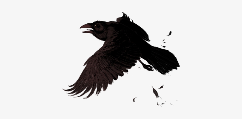 Send A Raven - Raven Png, transparent png download