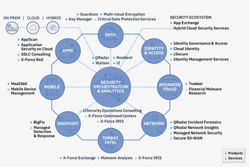 The Ibm Security Immune System - Ibm Immune System, transparent png download