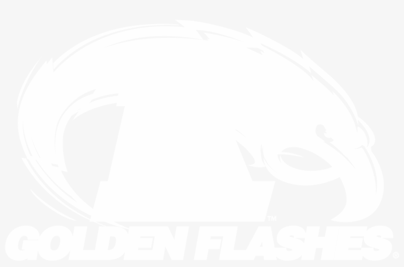 Flashes Png - Hyatt Regency Logo White, transparent png download