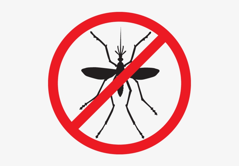 Cpp Alerta Contra A Dengue - National Dengue Day 2018, transparent png download