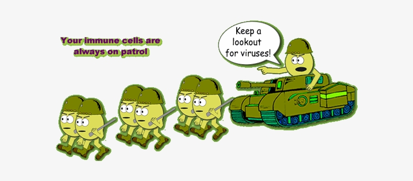 The Cd4 Cells Recognize Infections In The Body And - Immune System Attacking, transparent png download