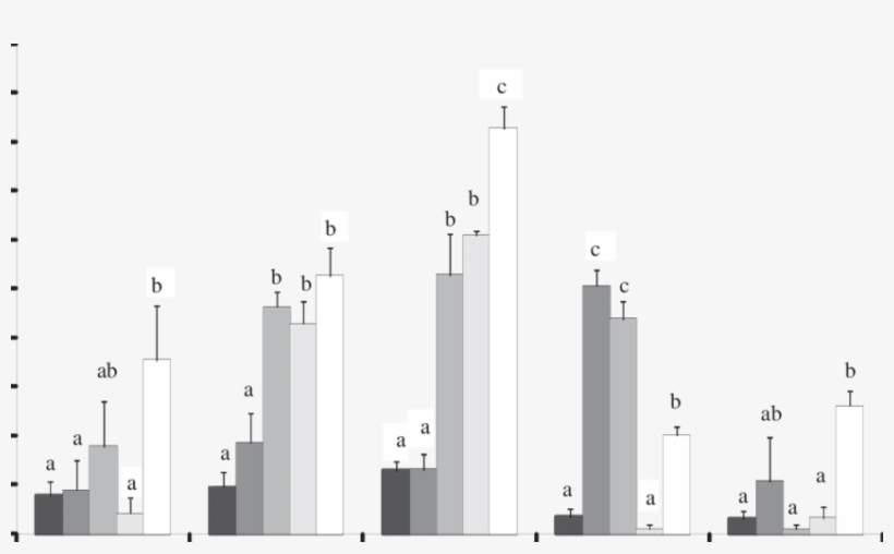 Sobrevivência De Mosca-branca De Diferentes Populações - Tower Block, transparent png download
