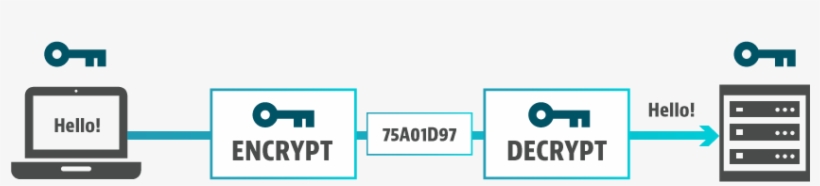 Download Encryption And Decryption Png | Transparent PNG Download | SeekPNG