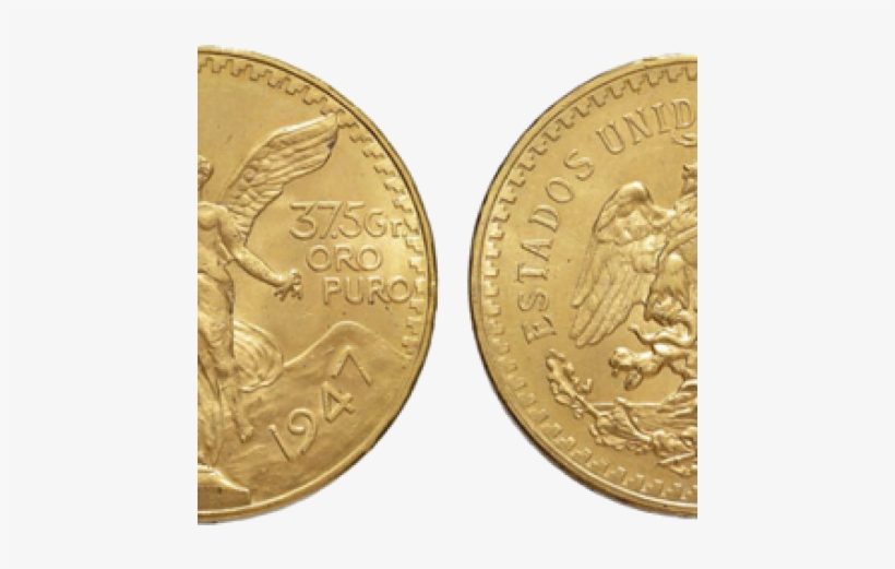 Descrizione - Pesos, transparent png download