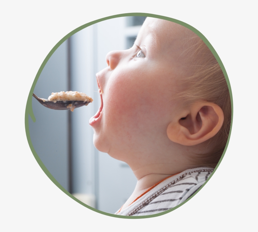 Finding Inspiration In Nature's Essentials, We Prepare - Food, transparent png download