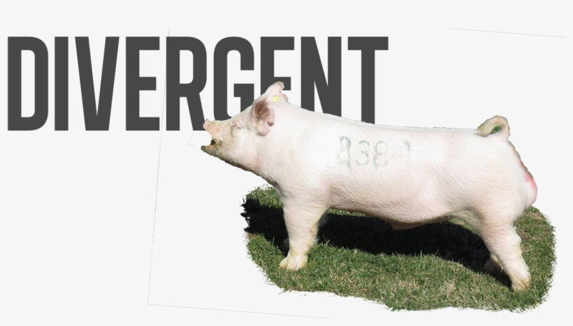 Light - Video Game, transparent png download