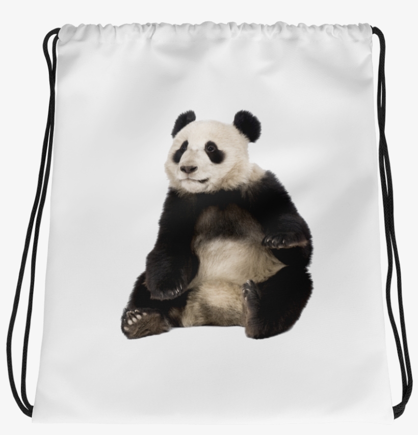 Giant-panda Print Drawstring Bag - Endangered Species: Let The Game Begin, transparent png download