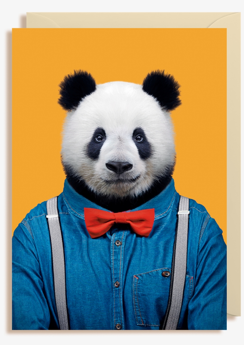 Ailuropoda Melanoleuca Greeting Card - Zoo Portraits By Yago Partal, transparent png download