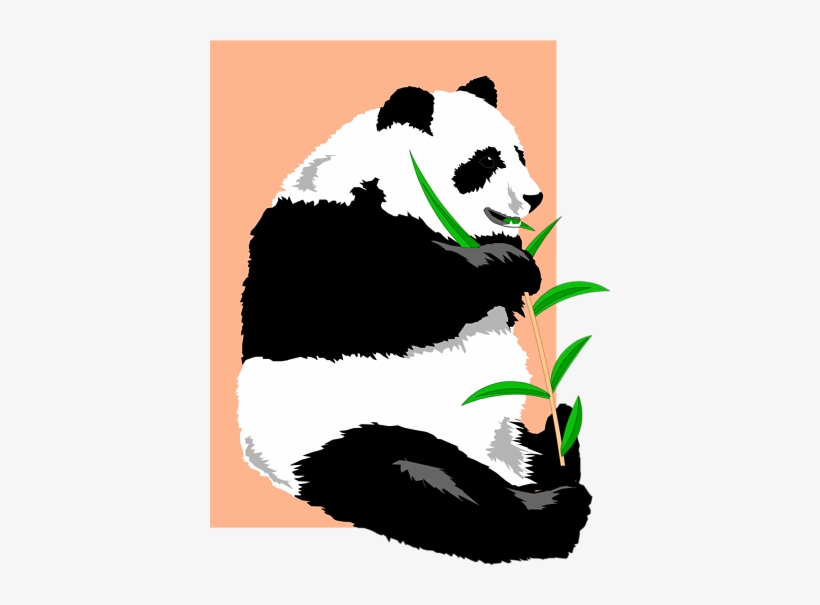 Clipart Info - Panda Animated, transparent png download