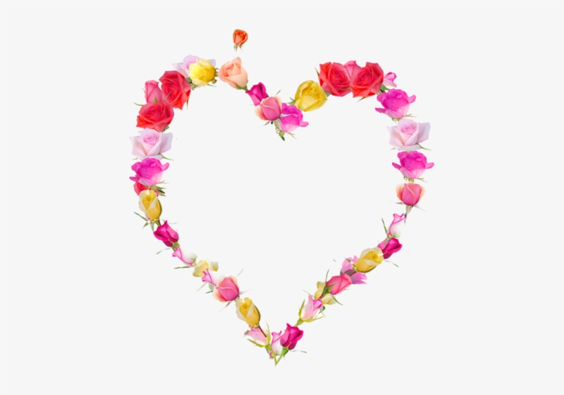 J - O - Pic - Centerblog - Net/b34f3a0e - Une Photo De Fleur, transparent png download