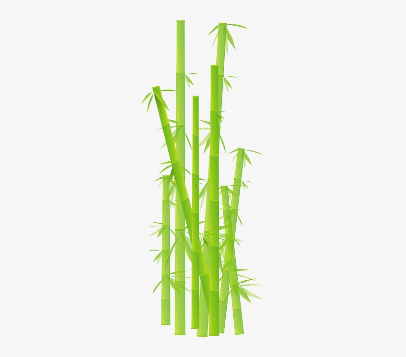 Bamboo Clipart Transparent Background, transparent png download