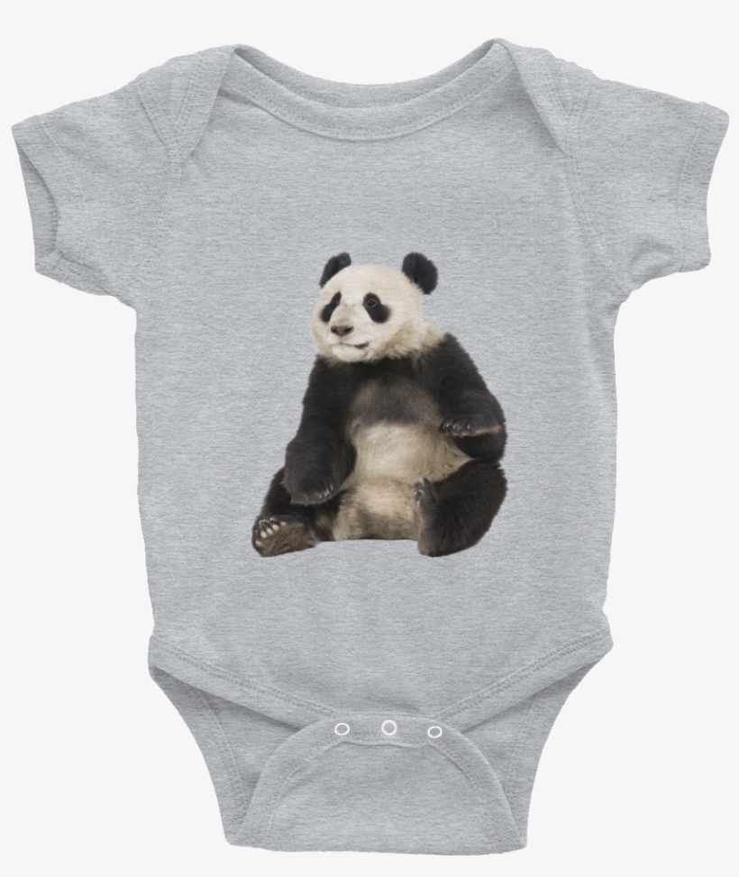 Giant-panda Print Infant Bodysuit - Onesie What Happens At Grandma's, transparent png download