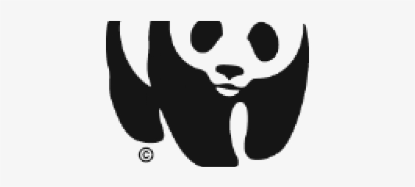 The Panda, Beloved Around The World, Is A Symbol Of - Camo Lokai Bracelet Limited Edition Wwf Size Medium, transparent png download