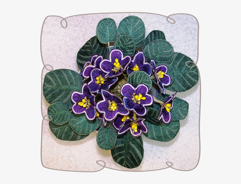 African Violets, transparent png download